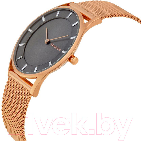 Изображение товара Часы наручные женские Skagen SKW2378