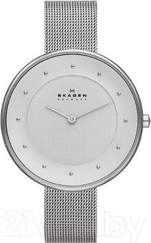 Изображение товара Часы наручные женские Skagen SKW2140