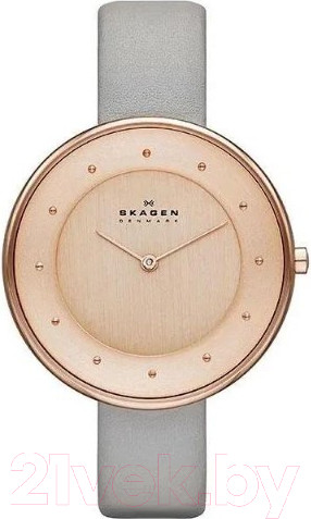 Изображение товара Часы наручные женские Skagen SKW2139