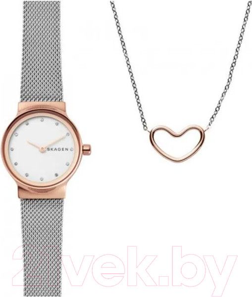 Изображение товара Часы наручные женские Skagen SKW1101