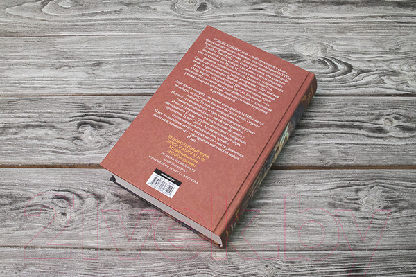 Изображение товара Книга АСТ Мифы. МИФОподставы (Асприн Р.)