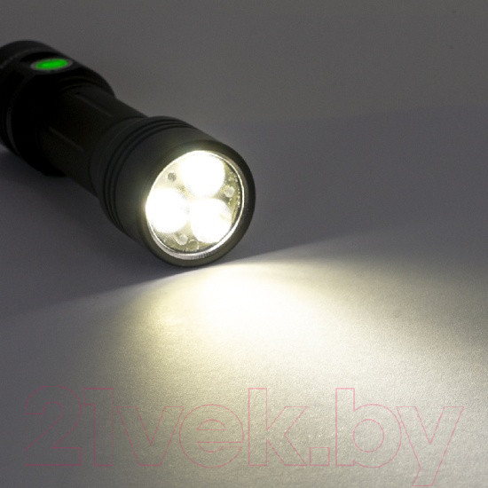 Изображение товара Фонарь Яркий Луч Tandem L-4100