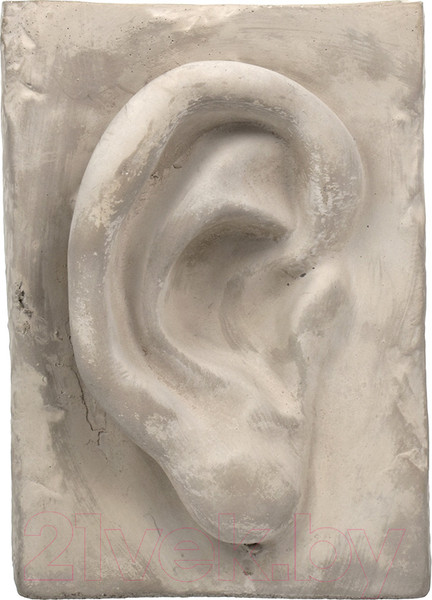 Изображение товара Ваза Blumen Haus Ухо Давида / 67002