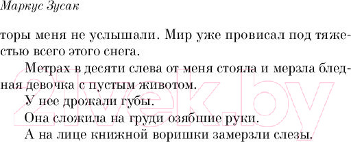 Изображение товара Книга Эксмо Книжный вор / 9785041165482 (Зусак М.)