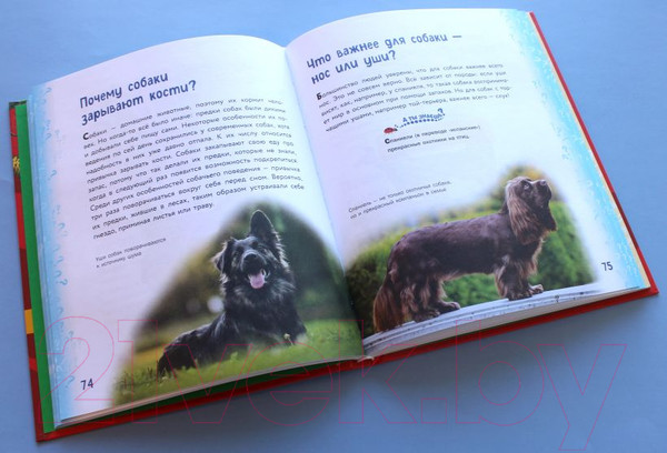 Изображение товара Энциклопедия Эксмо Миллион вопросов о животных, обо мне и мире вокруг