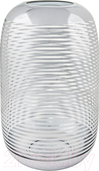 Изображение товара Ваза Вещицы CSA-22 (серебристый)