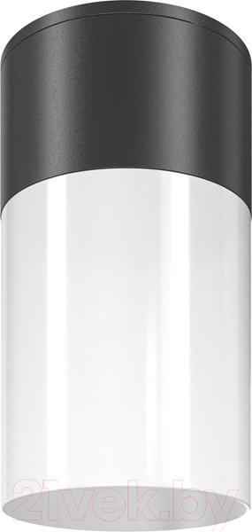 Изображение товара Светильник уличный Maytoni Willis O418CL-01B