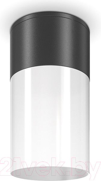 Изображение товара Светильник уличный Maytoni Willis O418CL-01B