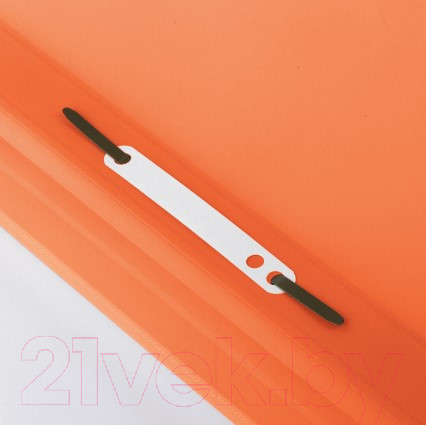 Изображение товара Папка для бумаг Brauberg 228673 (оранжевый)