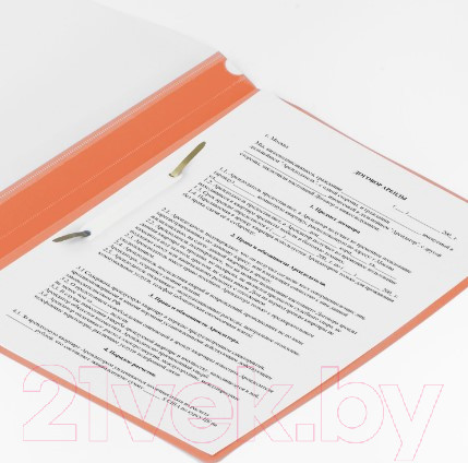 Изображение товара Папка для бумаг Brauberg 228673 (оранжевый)