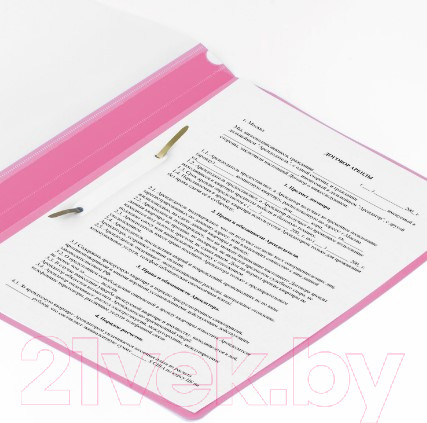 Изображение товара Папка для бумаг Brauberg 228672 (розовый)