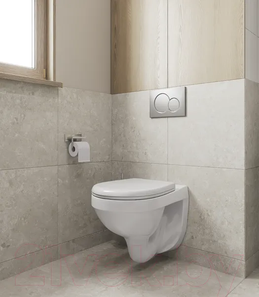 Изображение товара Унитаз подвесной Santeri Альфа 132564S0000B0 (с сиденьем)