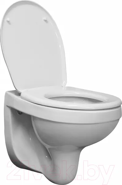 Изображение товара Унитаз подвесной Santeri Альфа 132564S0000B0 (с сиденьем)