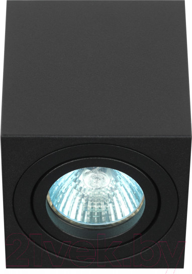 Изображение товара Потолочный светильник ЭРА OL22 BK / Б0054395