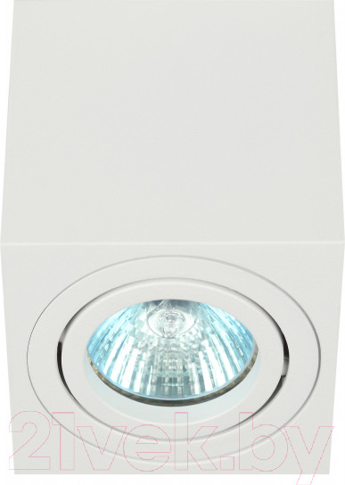 Изображение товара Потолочный светильник ЭРА OL22 WH / Б0054394