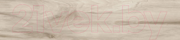 Изображение товара Плитка Alma Ceramica Ashton GFA92ATN40R (200x900)