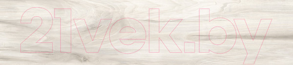 Изображение товара Плитка Alma Ceramica Ashton GFA92ATN04R (200x900)