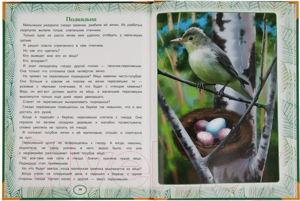 Изображение товара Книга Умка Сказки леса. Большая книга сказок (Бианки В.В.)