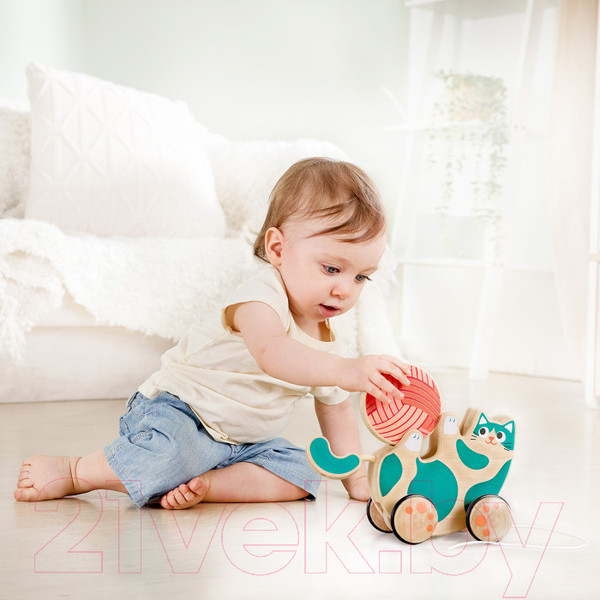 Изображение товара Развивающий игровой набор Hape Игривый котенок / E0366_HP