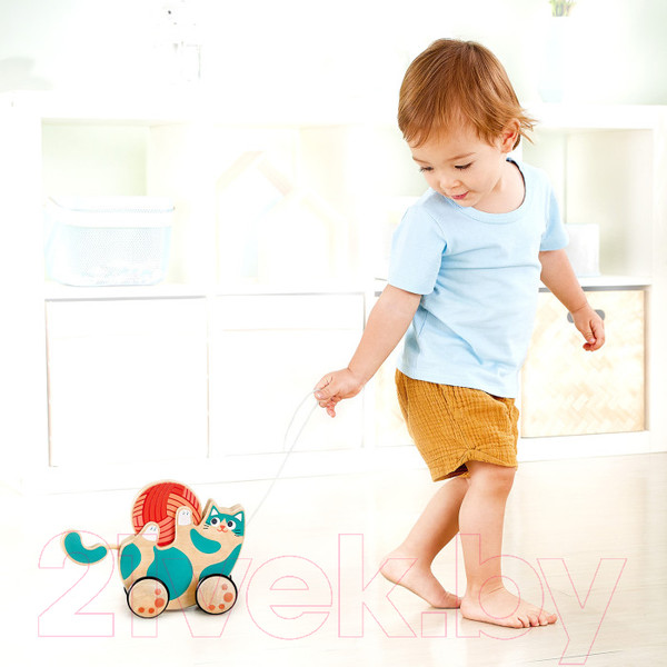 Изображение товара Развивающий игровой набор Hape Игривый котенок / E0366_HP