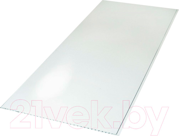 Изображение товара Панель ПВХ Декоруст Альянс Белый глянец (2500x250x7)