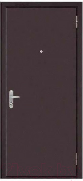 Изображение товара Входная дверь Mastino Slim MM (86х205, правая)