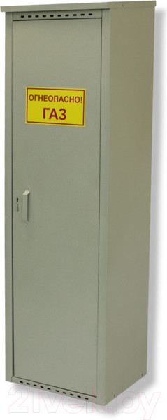 Изображение товара Шкаф для газового баллона Петромаш Slkptr18 (1x50л, серый)