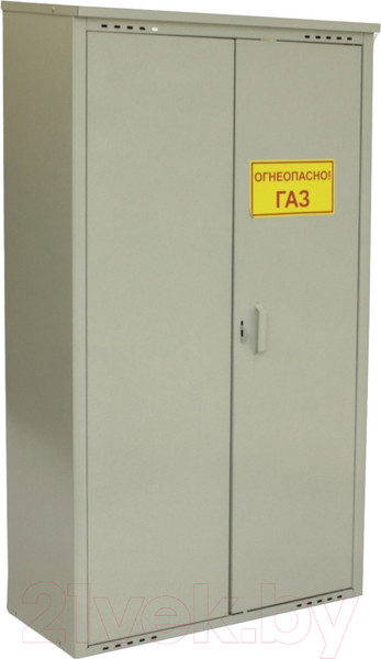 Изображение товара Шкаф для газового баллона Петромаш Slkptr27 (2x50л, серый)