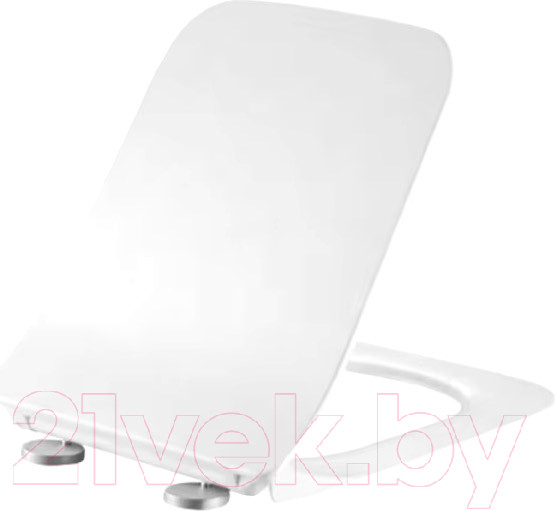 Изображение товара Сиденье для унитаза WeltWasser 2005 GL- WT