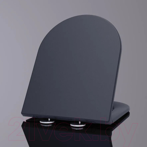 Изображение товара Сиденье для унитаза WeltWasser 2049 MT-BL