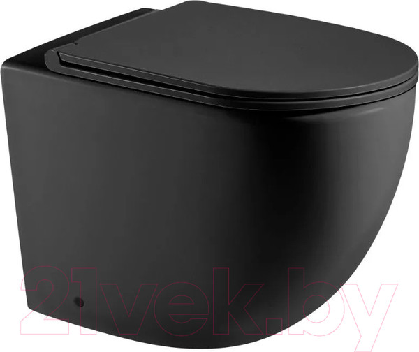 Изображение товара Сиденье для унитаза WeltWasser 2049 MT-BL