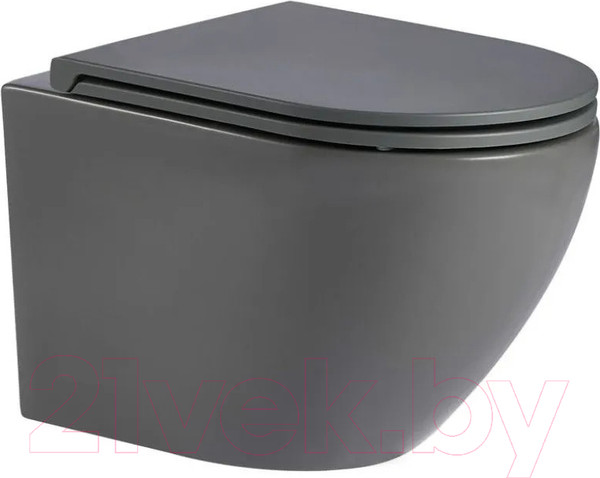 Изображение товара Сиденье для унитаза WeltWasser 2049 MT-GR