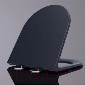 Изображение товара Сиденье для унитаза WeltWasser 5019 MT-BL