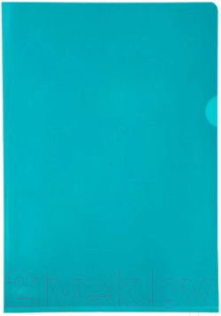 Изображение товара Папка-уголок Exacompta 660595E (зеленый)