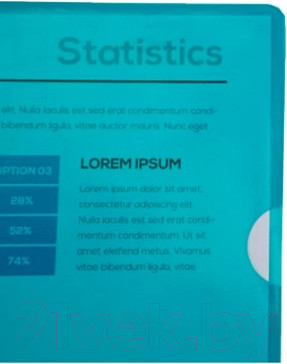 Изображение товара Папка-уголок Exacompta 660595E (зеленый)