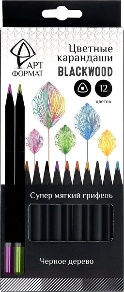 Изображение товара Набор цветных карандашей АртФормат AF03-051-12