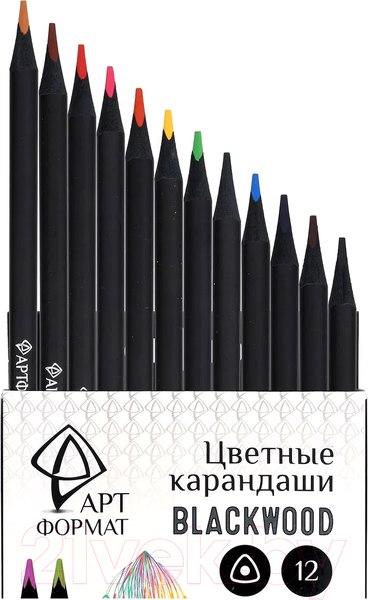 Изображение товара Набор цветных карандашей АртФормат AF03-051-12