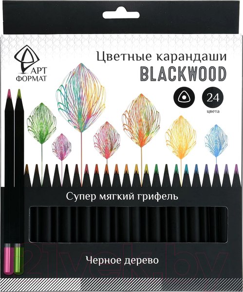 Изображение товара Набор цветных карандашей АртФормат AF03-051-24