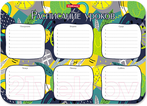 Изображение товара Расписание уроков Erich Krause Lime / 55997