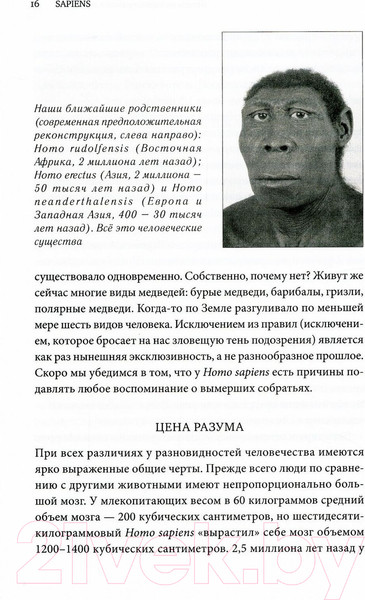 Изображение товара Книга Sindbad Sapiens. Краткая история человечества (Харари Ю.Н.)
