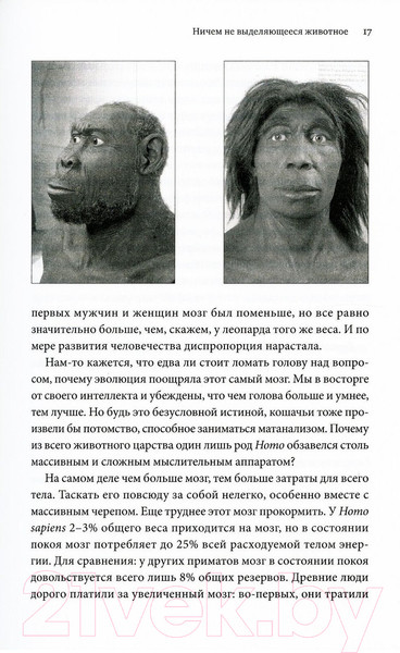Изображение товара Книга Sindbad Sapiens. Краткая история человечества (Харари Ю.Н.)