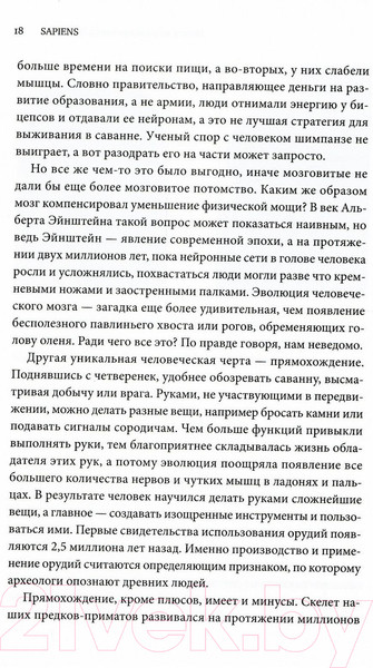 Изображение товара Книга Sindbad Sapiens. Краткая история человечества (Харари Ю.Н.)