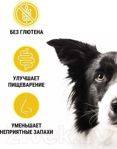 Изображение товара Сухой корм для собак Trainer Natural для мелких пород с курицей и рисом (800г)