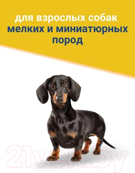 Изображение товара Сухой корм для собак Trainer Natural для мелких пород с курицей и рисом (800г)
