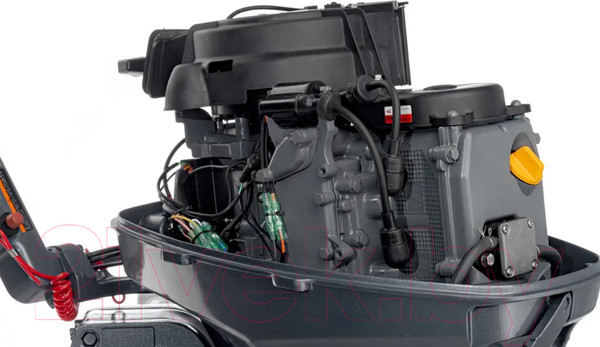 Изображение товара Мотор лодочный Mikatsu MF9.9FHS