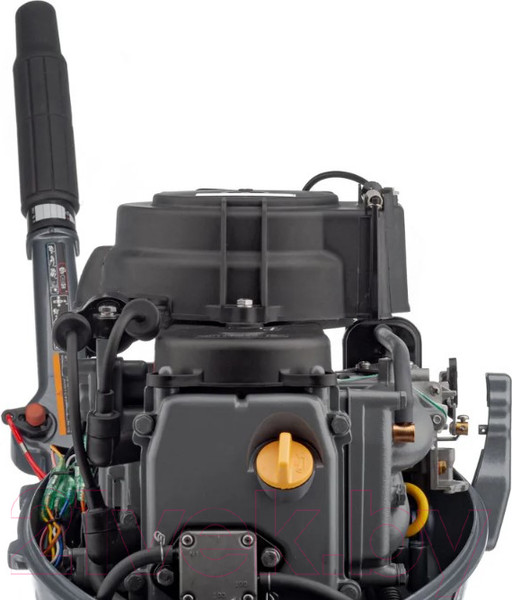 Изображение товара Мотор лодочный Mikatsu MF9.9FHS