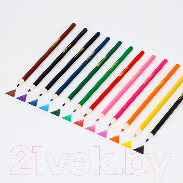 Изображение товара Набор цветных карандашей Мульти-пульти Енот в Индии / CP_10746 (12цв)