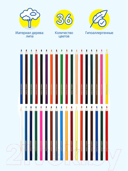 Изображение товара Набор цветных карандашей Мульти-пульти Невероятные приключения / CP_41051 (36 цветов)