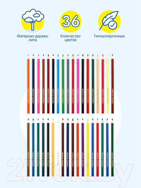 Изображение товара Набор цветных карандашей Мульти-пульти Невероятные приключения / CP_41056 (36 цветов)