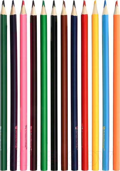 Изображение товара Набор цветных карандашей Schoolformat Дикая планета / КЦ12-ДП (12цв)